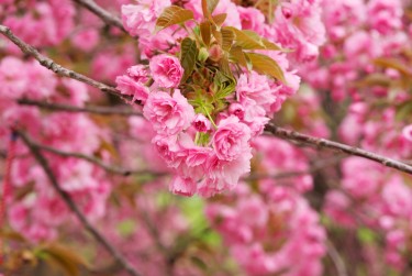 杭州富阳区线下个人借款平台一站式服务，轻松解决资金难题