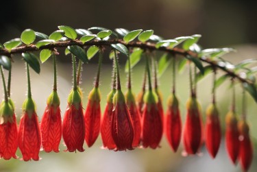 杭州富阳区零用贷短借：轻松解决临时资金需求