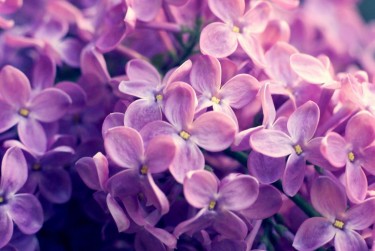 杭州富阳区企业急用钱贷款攻略：快速融资解燃眉之急